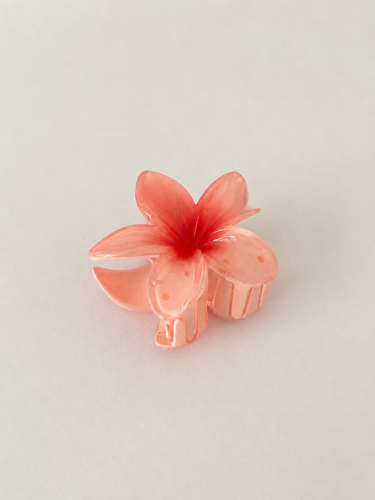 Flower Glossy Frangipani Rosé Haarklammer von Veízu Beauty